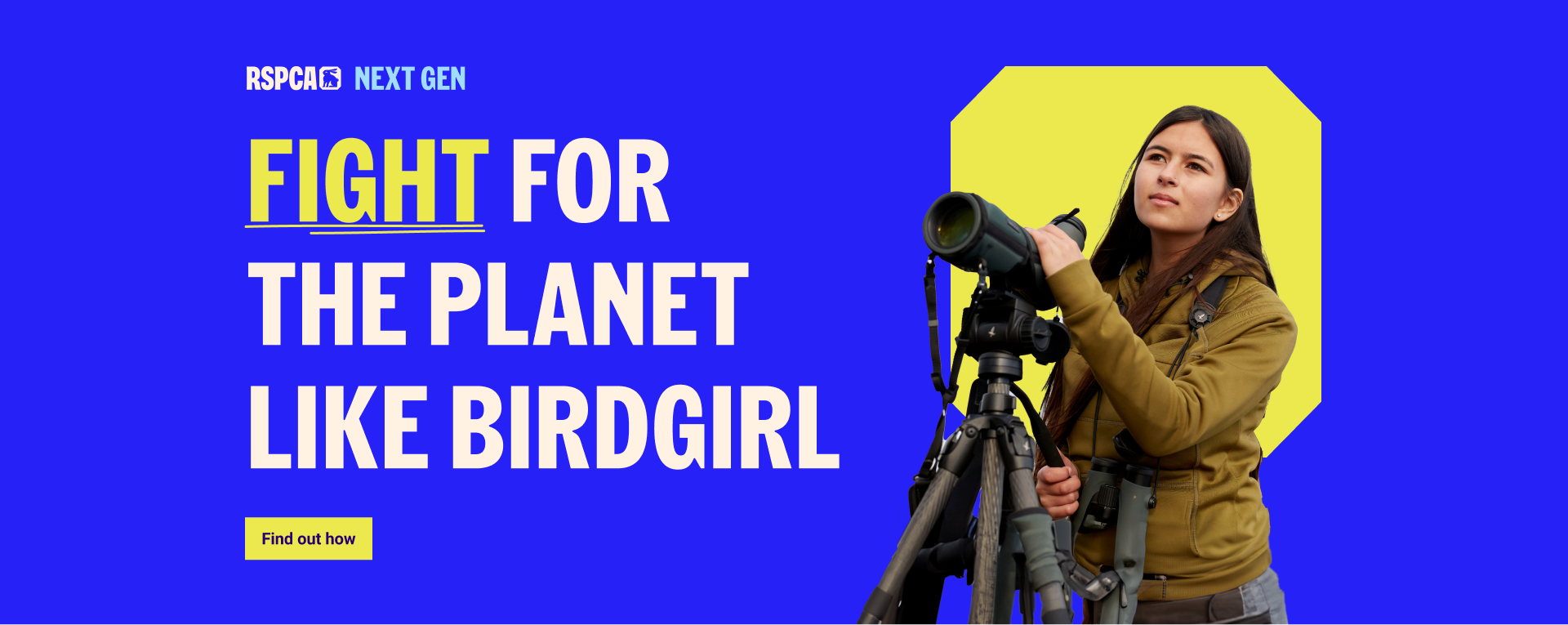 An image of the developed Next Gen website, with a strong hero image of Birdgirl and bold text